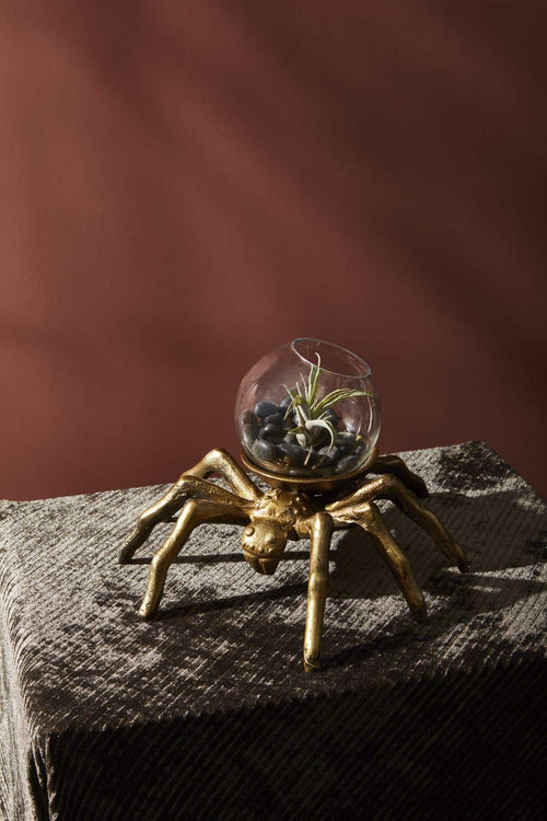 Metal & Glass Arachnid Spider Terrarium Spooky Halloween Décor