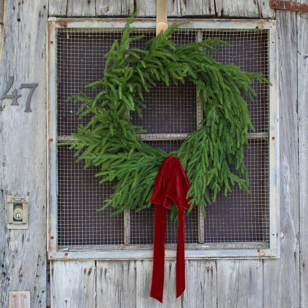 Norfolk Collection - Real Touch Norfolk Pine Front Door Christmas Holiday Winter Wreath - 2 Size Options Available