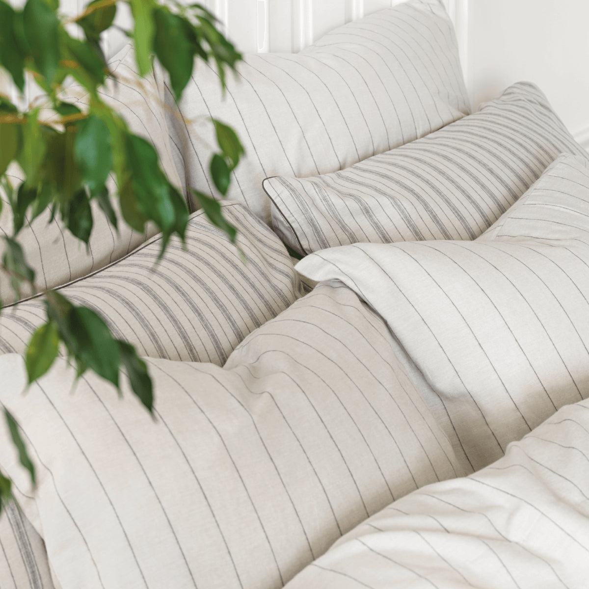 Brushed Cotton Sheet Set