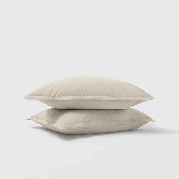 Percale Shams Pair