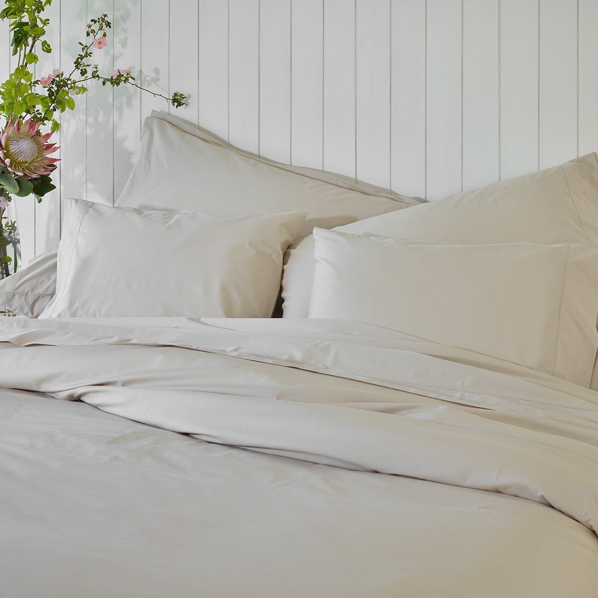 Percale Shams Pair