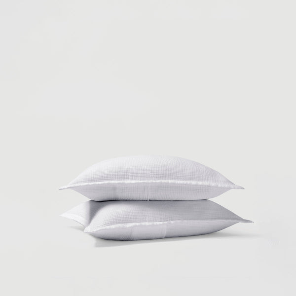 Four Layer Shams