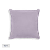 Four Layer Shams