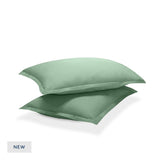 Percale Shams Pair