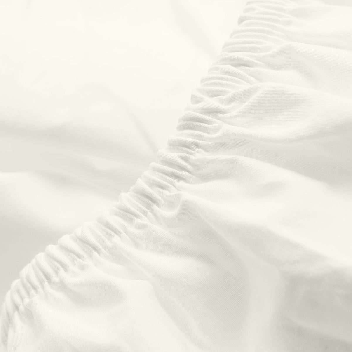 Percale Limited Edition Fitted Sheet