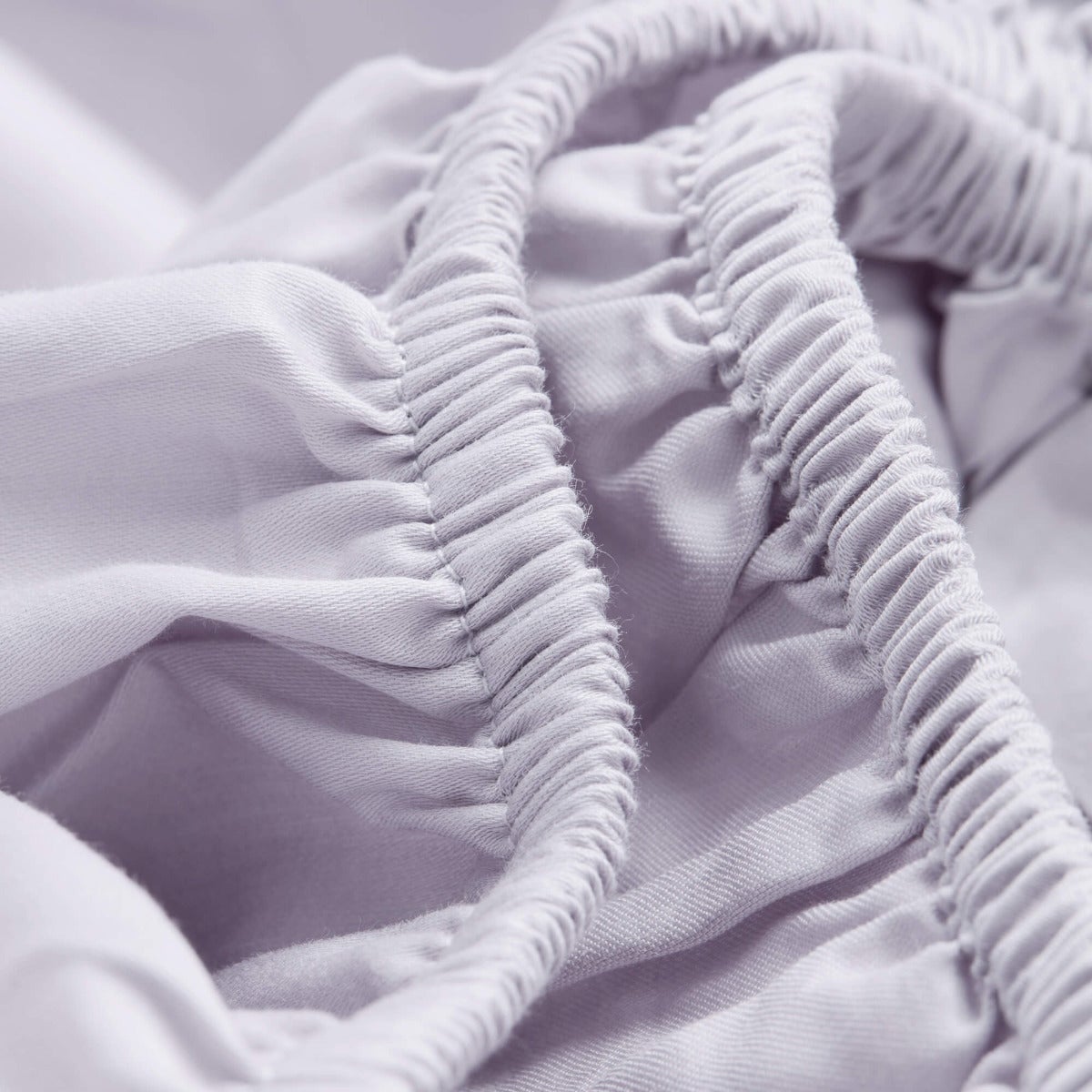 Percale Limited Edition Fitted Sheet