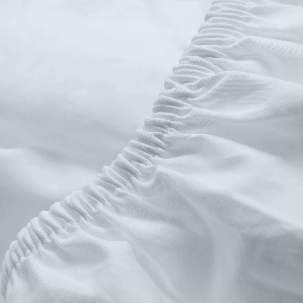 Percale Limited Edition Fitted Sheet
