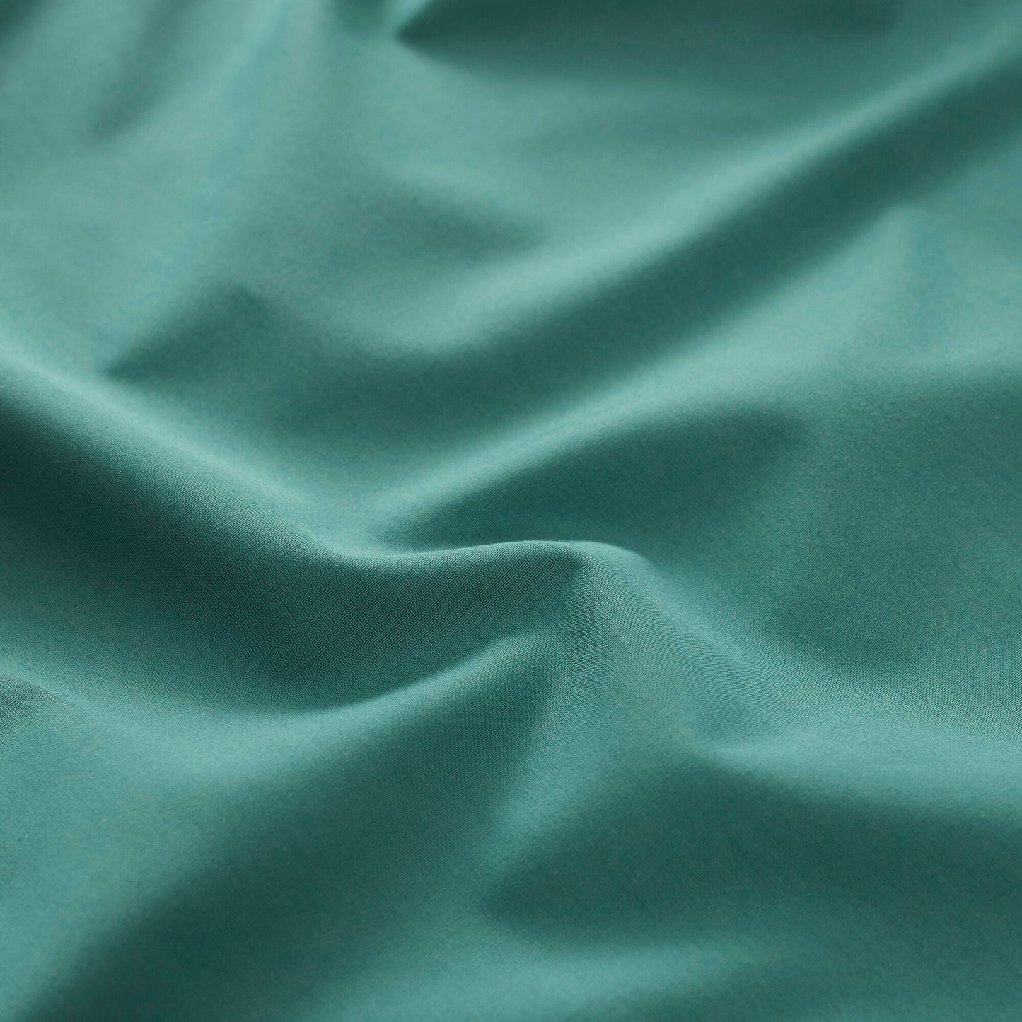 Percale Limited Edition Flat Sheet