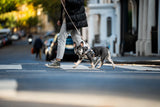 The Barkee™ Harness
