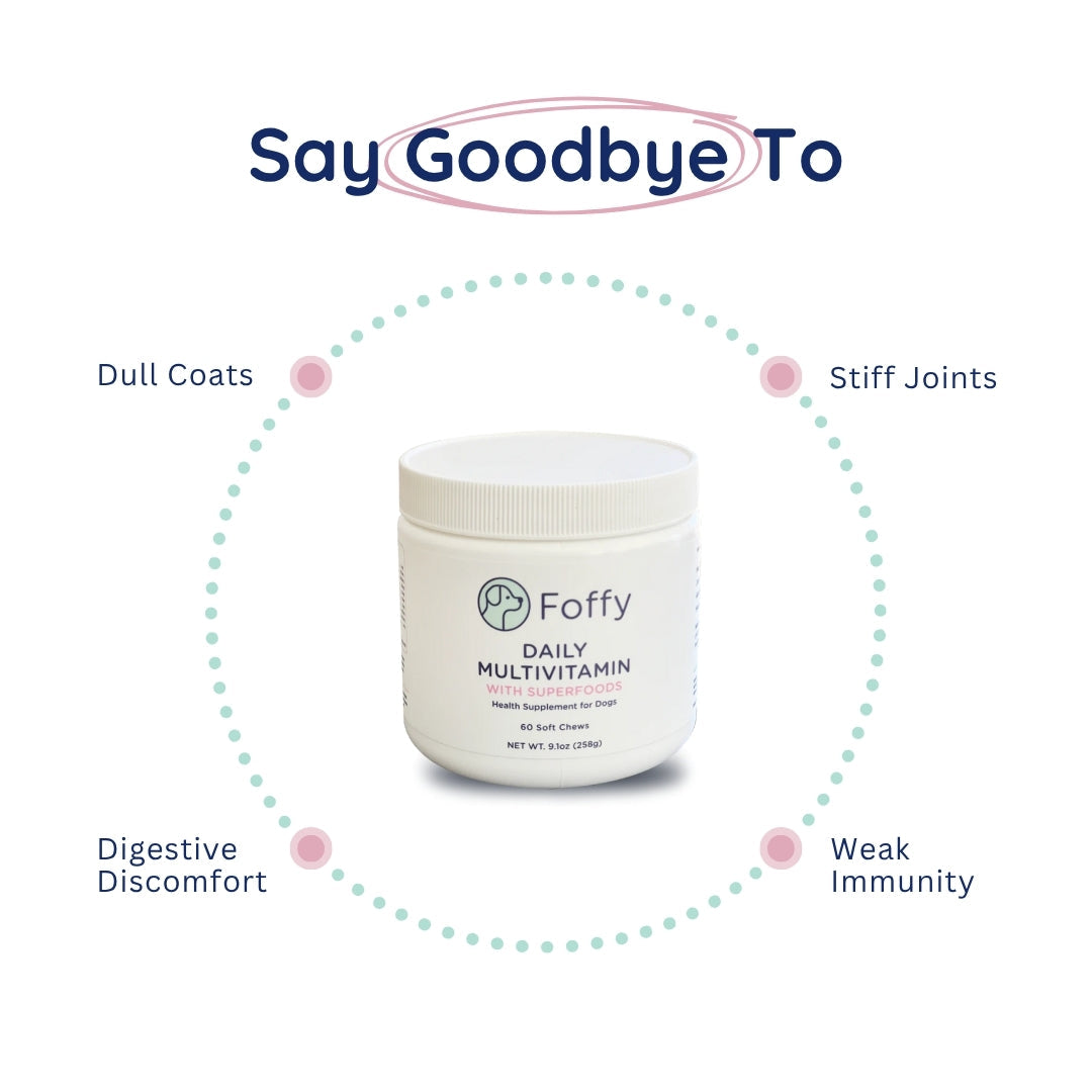 SUPERFOOD MULTIVITAMIN 60 COUNT JAR