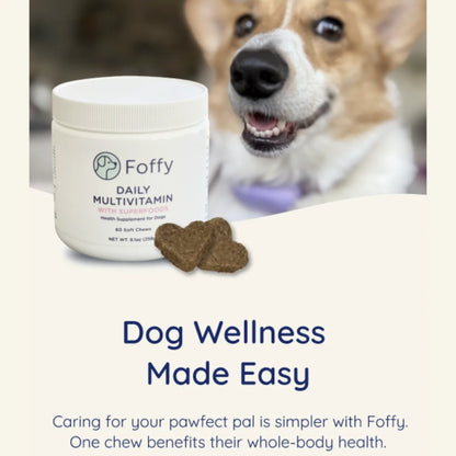 SUPERFOOD MULTIVITAMIN 60 COUNT JAR