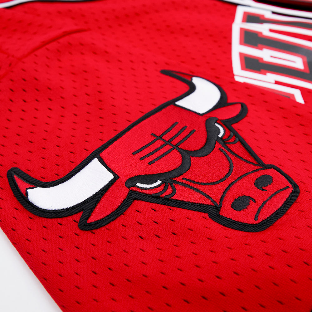 NBA CHICAGO BULLS LOGO MEN'S MESH BUTTON UP JERSEY (RED)