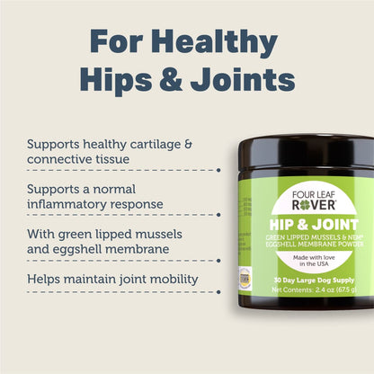 Hip & Joint