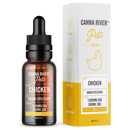 CBD Pet Tincture