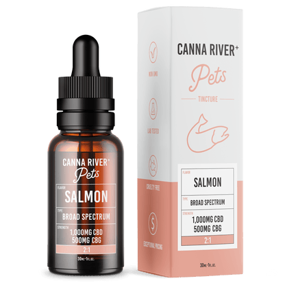 CBD Pet Tincture