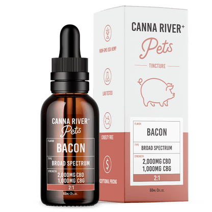 CBD Pet Tincture