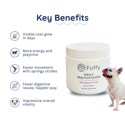 SUPERFOOD MULTIVITAMIN 60 COUNT JAR