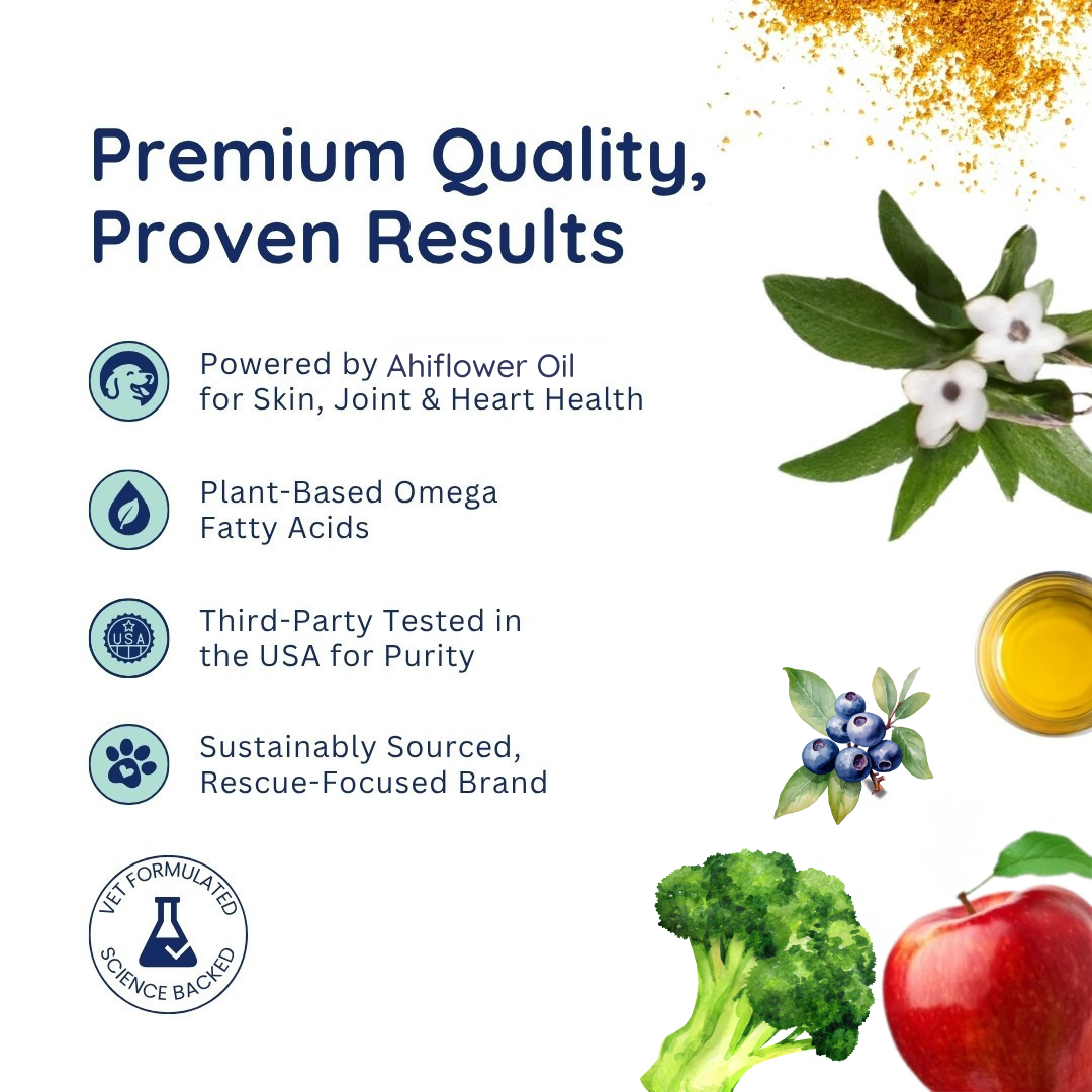 SUPERFOOD MULTIVITAMIN 60 COUNT JAR