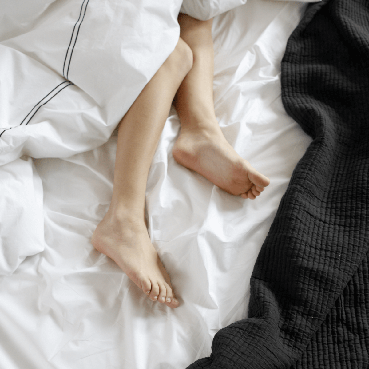 Textured Cotton Coverlet & Shams Set