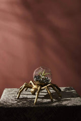 Metal & Glass Arachnid Spider Terrarium Spooky Halloween Décor