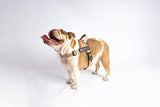 The Barkee™ Harness
