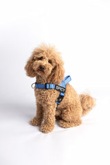 The Barkee™ Harness