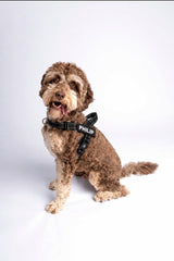 The Barkee™ Harness