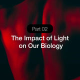 Red Light Therapy Education