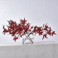Lifelike Red Japanese Maple Branches in Modern Flat Rectangle Vase Fall Everyday Water Illusion Arrangement
