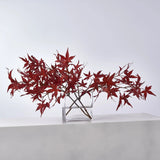 Lifelike Red Japanese Maple Branches in Modern Flat Rectangle Vase Fall Everyday Water Illusion Arrangement