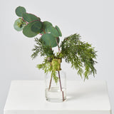 Real Touch Silver Dollar Eucalyptus & Lifelike Cedar in Gold Rim Bottle Vase Winter Water Illusion Arrangement