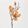 Golden Hour Magnolia Blossom & Bud Multiple Blooming Branch Stem Spray - 19"
