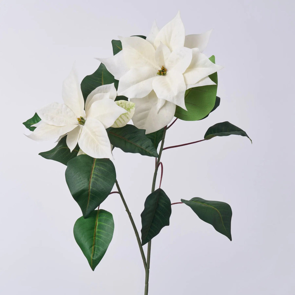 Lifelike Winter White Poinsettia Large Bloom Spray Holiday Floral Stem - 39"