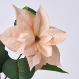 Lifelike Soft Pink Christmas Poinsettia Large Bloom Spray Holiday Floral Stem - 39"