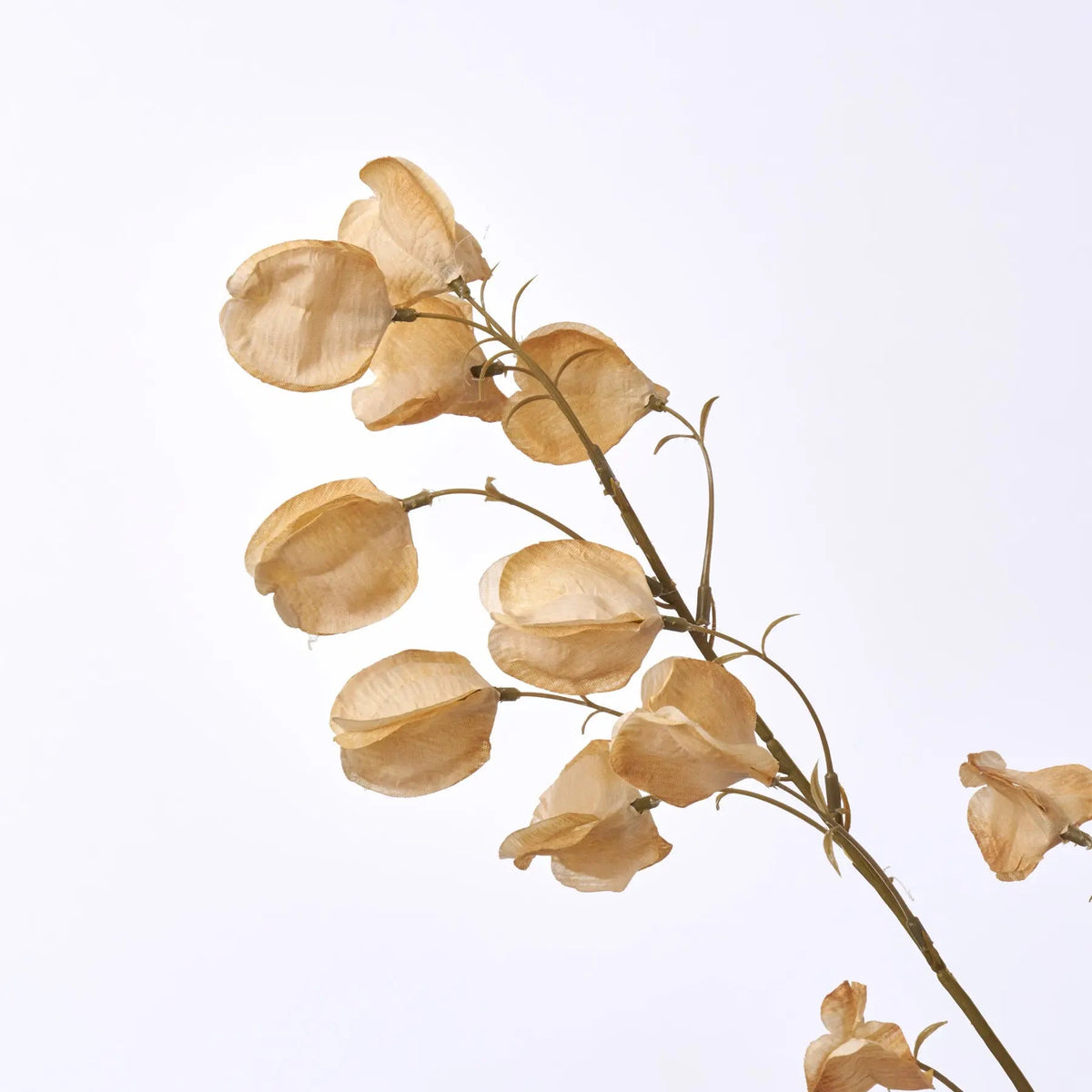 Beige Chinese Lanterns Tree Branch Pods Faux Floral Stem Spray - 38"