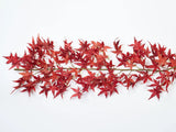 Red Japanese Maple Leaf Mantel Garland Fall Centerpiece Table Runner