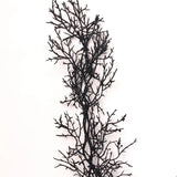 Black Glitter Twig Branch Halloween Fall Mantle Garland Table Runner - 5.5'