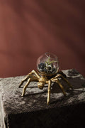 Metal & Glass Arachnid Spider Terrarium Spooky Halloween Décor