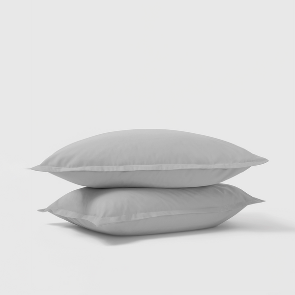 Organic Cotton Shams Pair