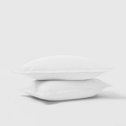 Organic Cotton Shams Pair