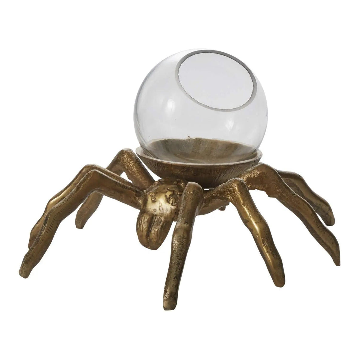 Metal & Glass Arachnid Spider Terrarium Spooky Halloween Décor