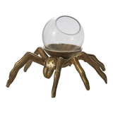 Metal & Glass Arachnid Spider Terrarium Spooky Halloween Décor