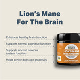 Lion's Mane