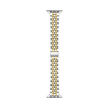 Rainey Stainless Steel Band for Apple Watch