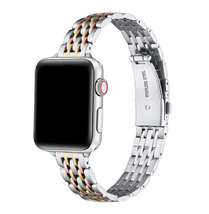 Rainey Skinny Stainless Steel Band for Apple Watch