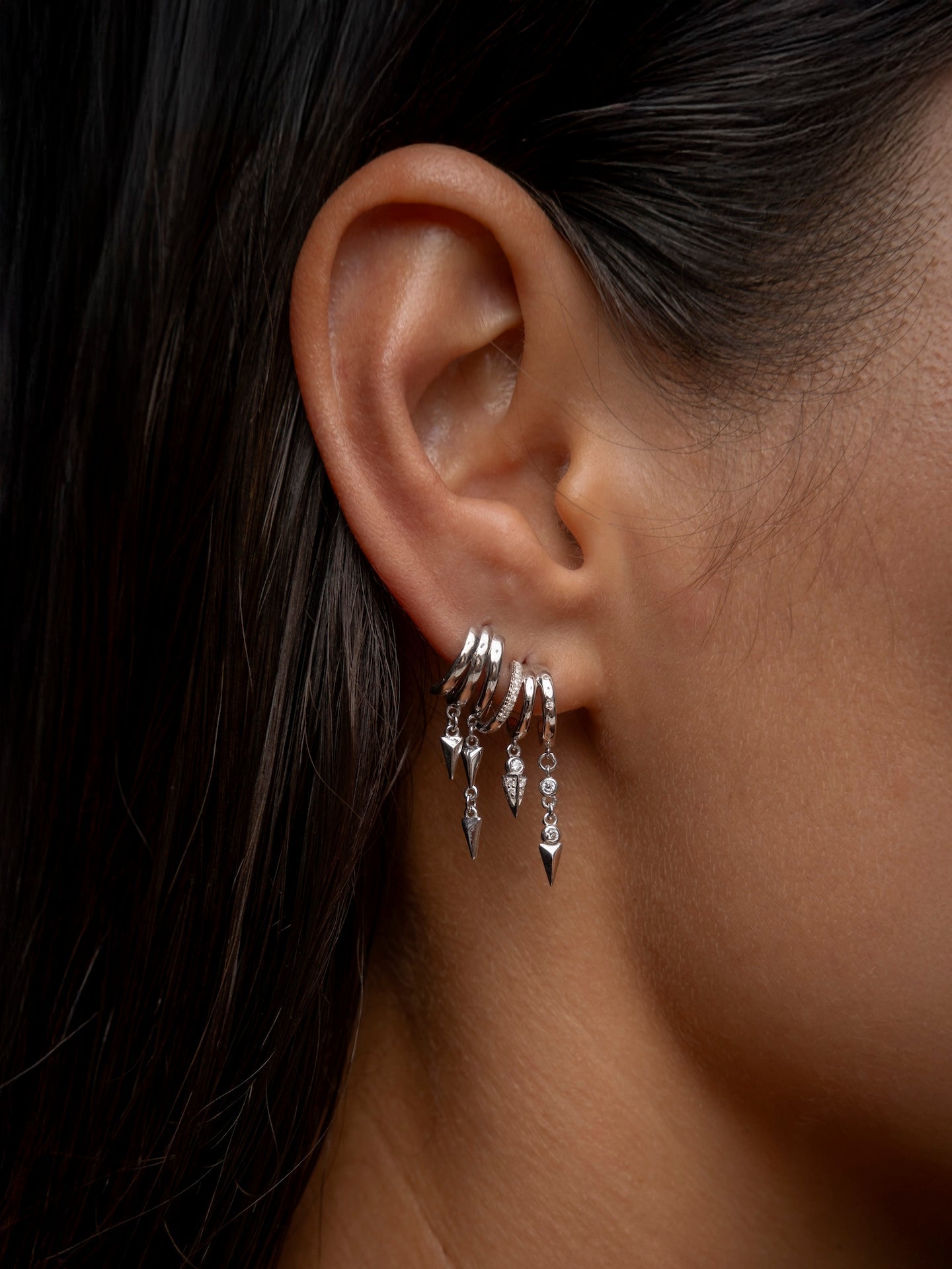 Lynx Illusion Earrings