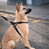 The Barkee™ Harness