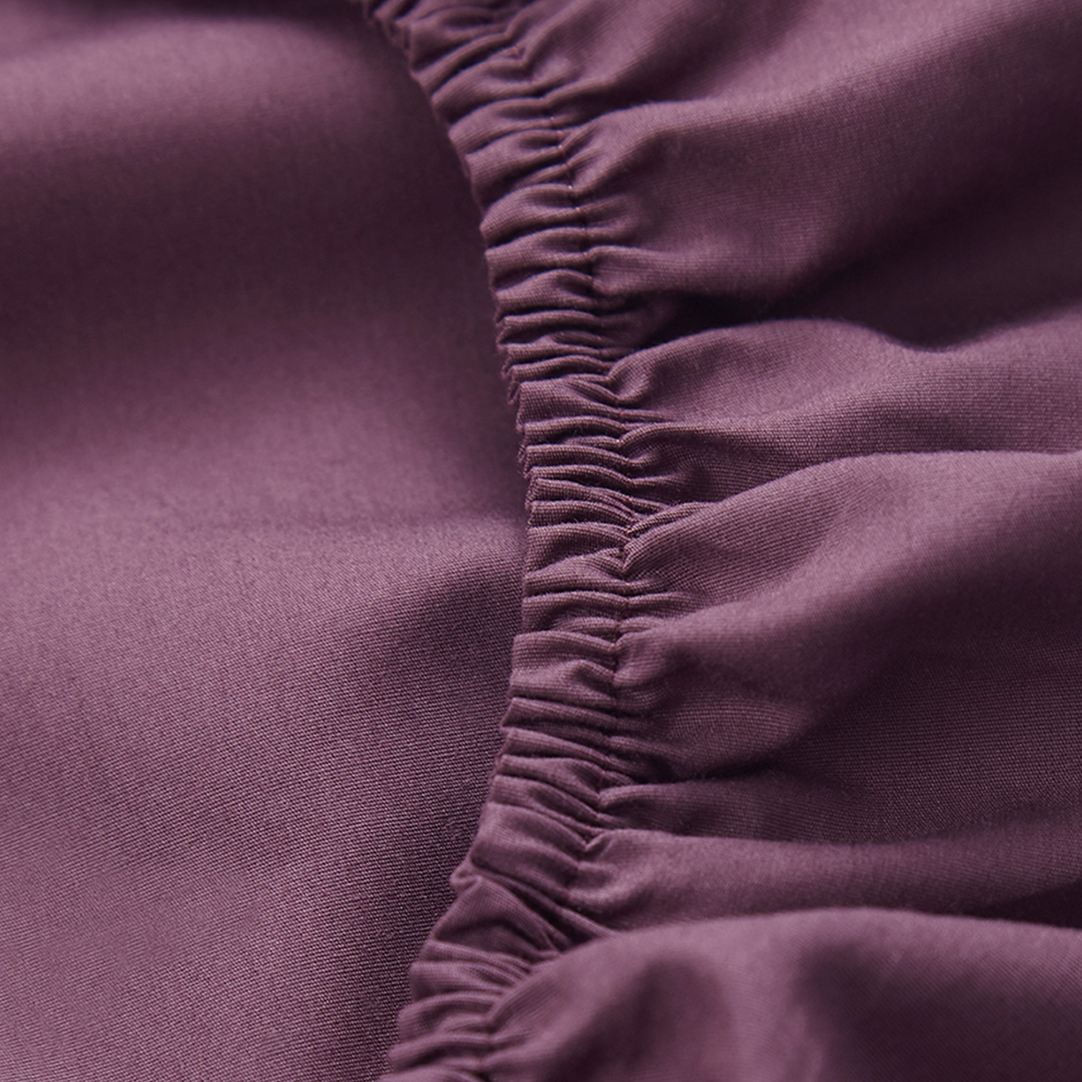 Percale Limited Edition Fitted Sheet