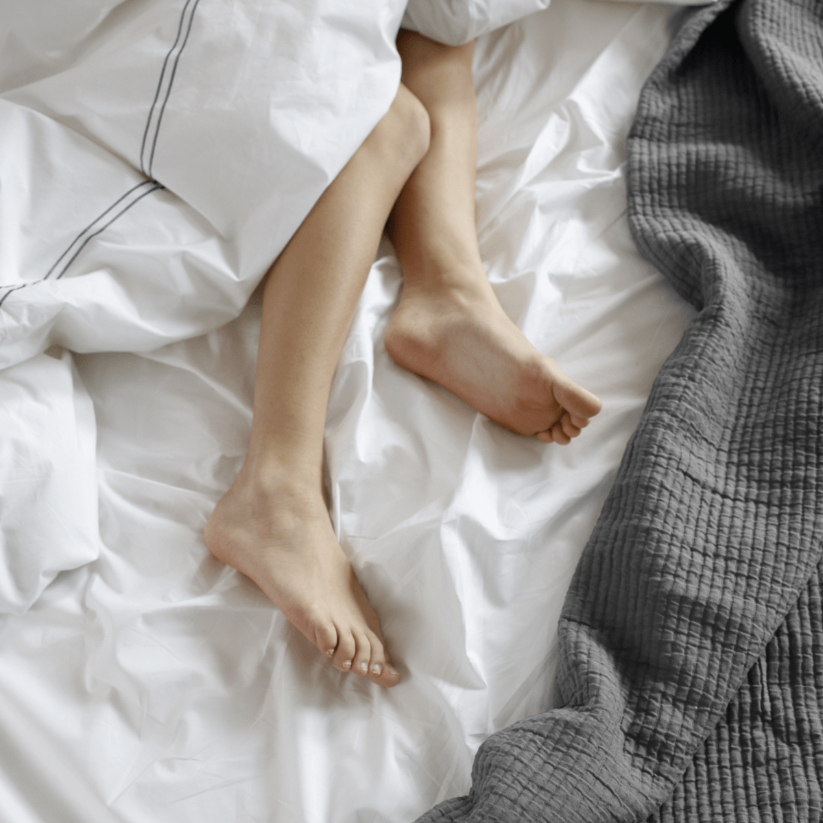 Textured Cotton Coverlet & Shams Set