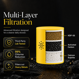Afina Filtered Shower Head